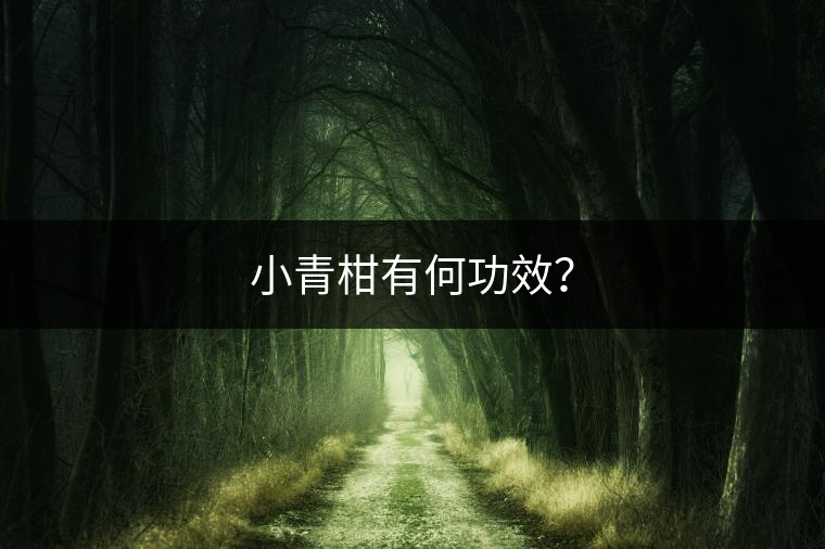 小青柑有何功效？
