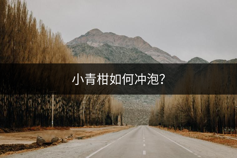 小青柑如何沖泡？