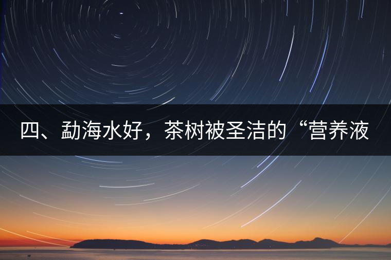 四、勐海水好，茶樹被圣潔的“營(yíng)養(yǎng)液”所滋養(yǎng)