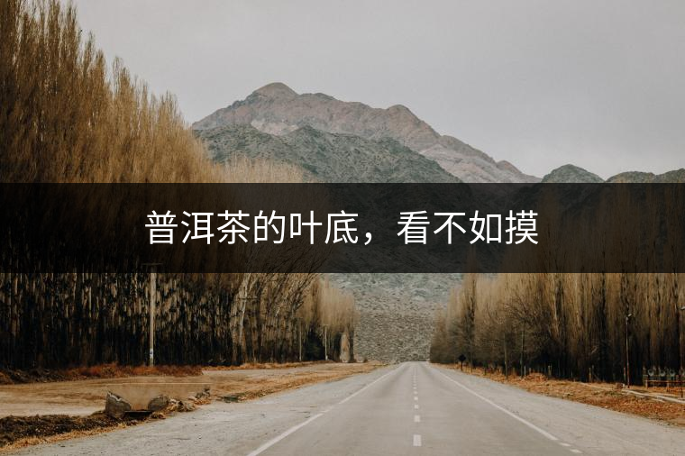 普洱茶的葉底，看不如摸