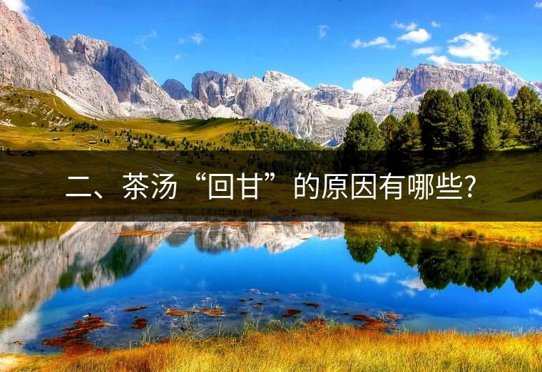 二、茶湯“回甘”的原因有哪些?