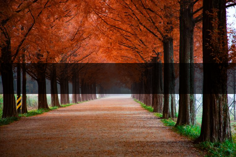 這樣的茶葉邊疆文化，也許是明代大學者解縉最樂意見到的。他曾說，中原最好的東西就是茶，而番人最好的就是馬。他贊同明廷茶馬互市的國策：茶之于夷人，如同中國之酒醴，因為茶馬貿(mào)易，許多夷人也開始學習中國的知識，對中國也有了向慕之心，那么茶的作用就很顯然，茶有著“夷夏之交，義利之辨，寅賓尚忠信而篤敬，河州固唐虞三代之邦也?！?茶不僅僅是一種飲品，還有其他。茶作為媒介，體現(xiàn)了觀念的變化。如今，隨著茶的傳播，各族人民有了更深入往來，通過貿(mào)易、文化、旅游等等。
陳渠珍從西藏抵達湟源區(qū)域時，也為這里的古風所震驚：“余皆漢番雜處。風俗婦女尚餞足，裙下蓮步不及三寸，服飾既古，文化尤卑，鄰居為私塾，當見一生久讀不能成誦，塾師罰之跪，以草圈罩頭上，頻加籌石，令其跪誦。余見駭然?！?
?
（摘自《海峽茶道》，2013年5期）