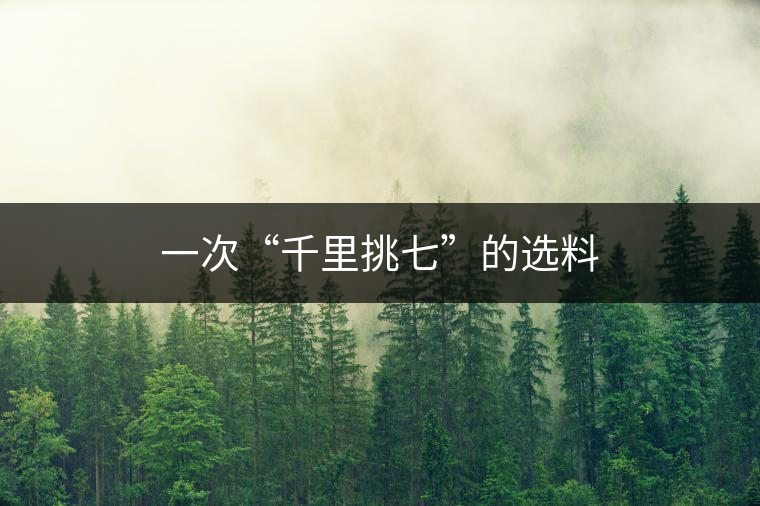 一次“千里挑七”的選料
