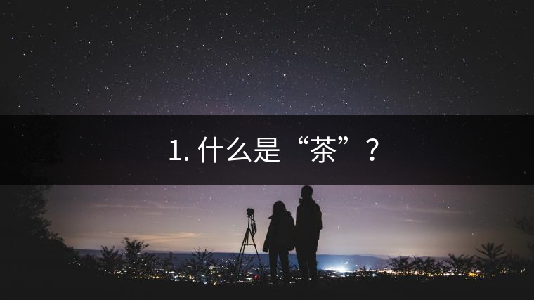 ? 1. 什么是“茶”？