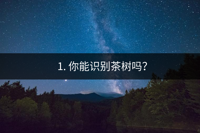 ??1. 你能識(shí)別茶樹(shù)嗎？
