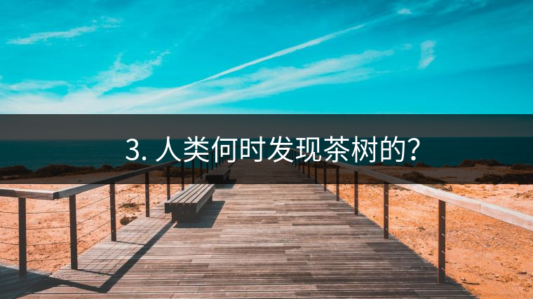 ? 3. 人類何時(shí)發(fā)現(xiàn)茶樹(shù)的？