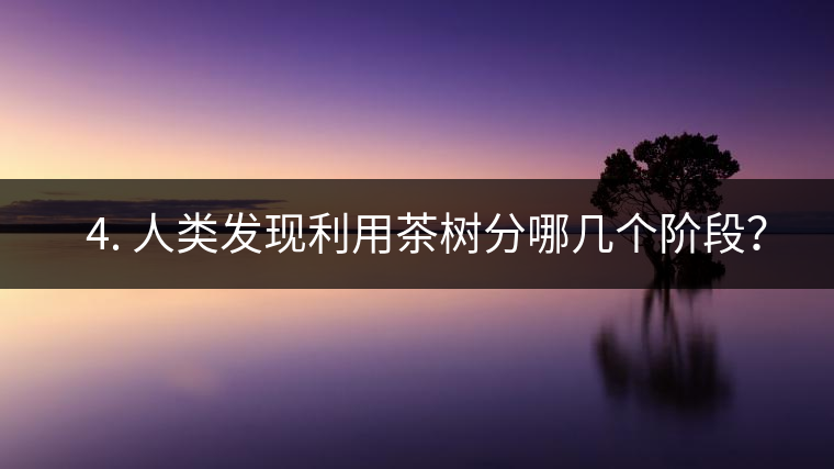 ? 4. 人類發(fā)現(xiàn)利用茶樹(shù)分哪幾個(gè)階段？