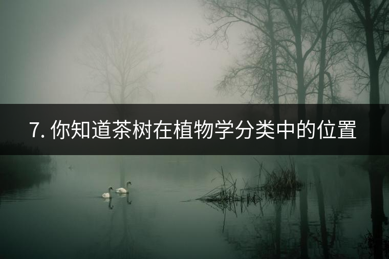 ??7. 你知道茶樹(shù)在植物學(xué)分類中的位置嗎？