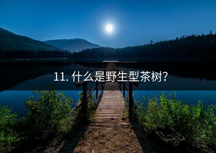 ? 11. 什么是野生型茶樹(shù)？
