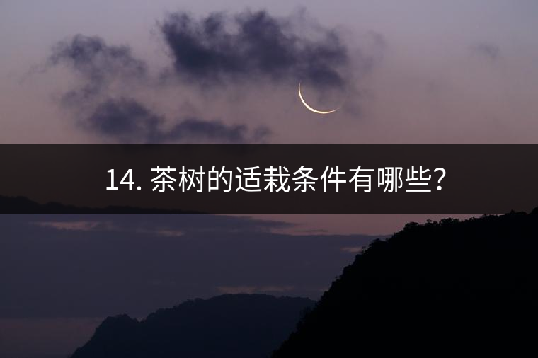 ? 14. 茶樹(shù)的適栽條件有哪些？