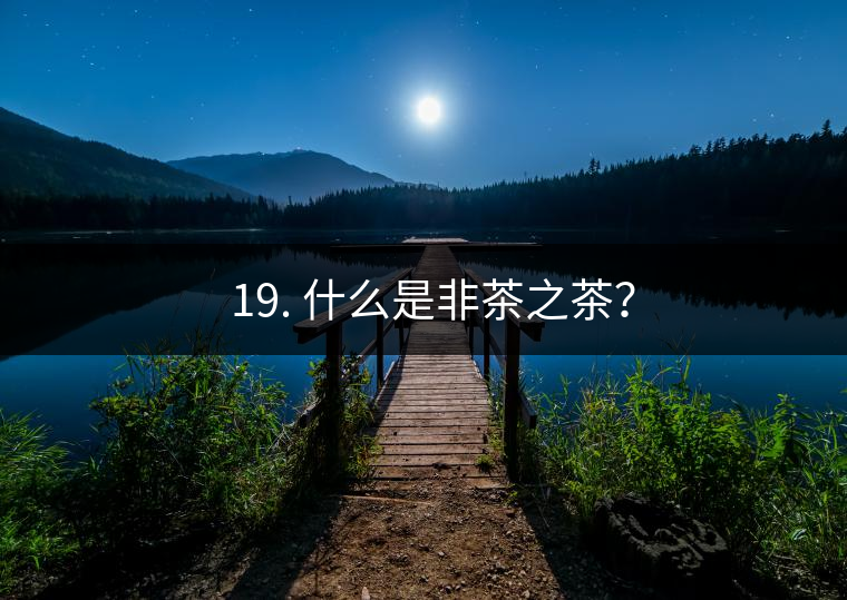 ? 19. 什么是非茶之茶？