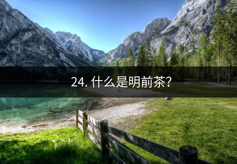 ? 24. 什么是明前茶？