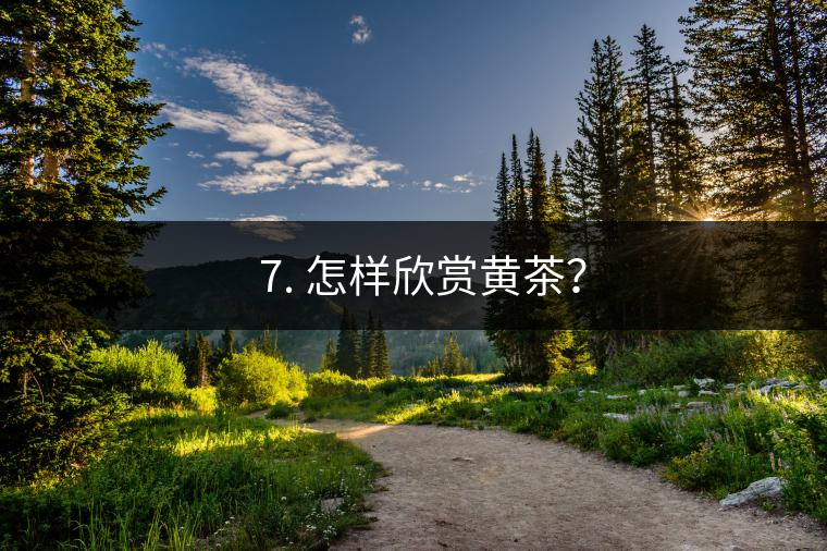 ? 7. 怎樣欣賞黃茶？