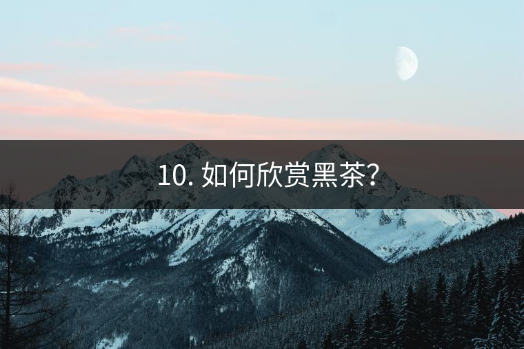 ? 10. 如何欣賞黑茶？