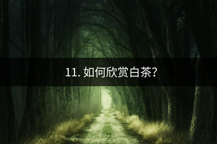 ??11. 如何欣賞白茶？