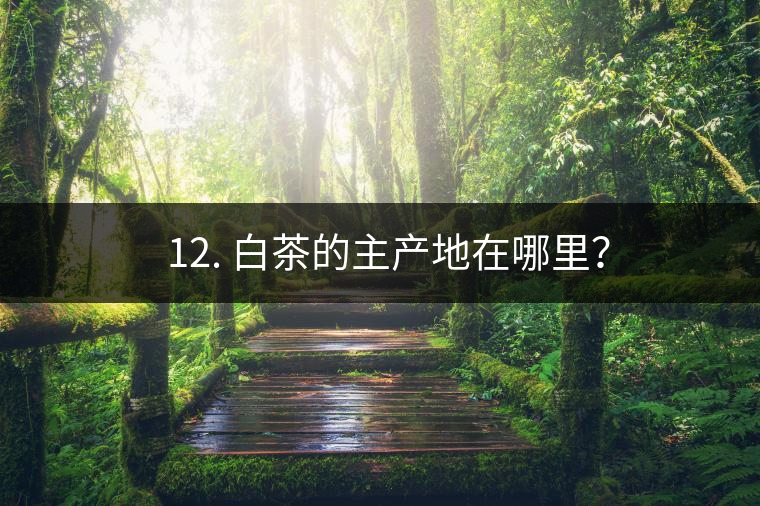 ? 12. 白茶的主產(chǎn)地在哪里？