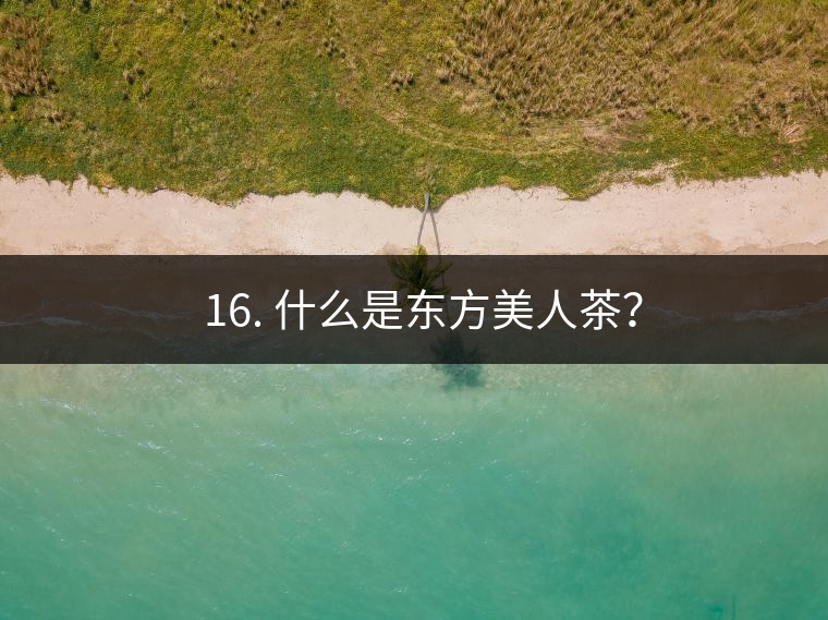 ? 16. 什么是東方美人茶？