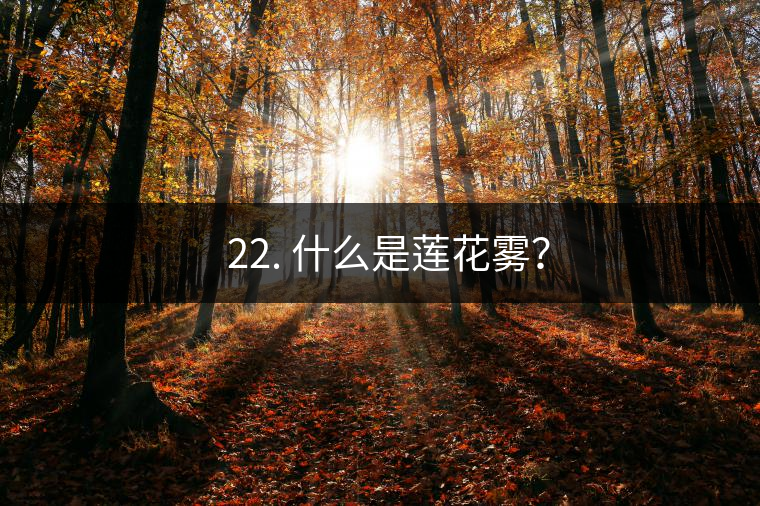 ? 22. 什么是蓮花霧？