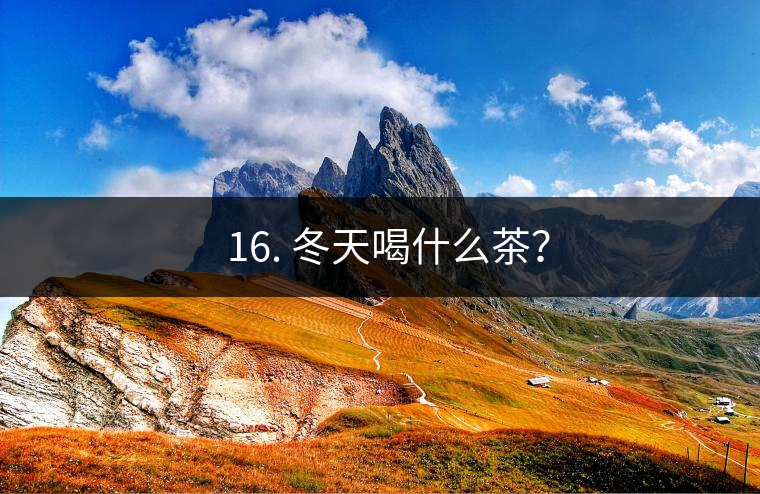 ? 16. 冬天喝什么茶？