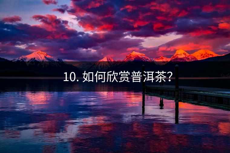 ? 10. 如何欣賞普洱茶？