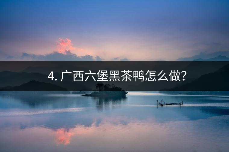 ? 4. 廣西六堡黑茶鴨怎么做？