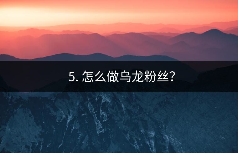? 5. 怎么做烏龍粉絲？