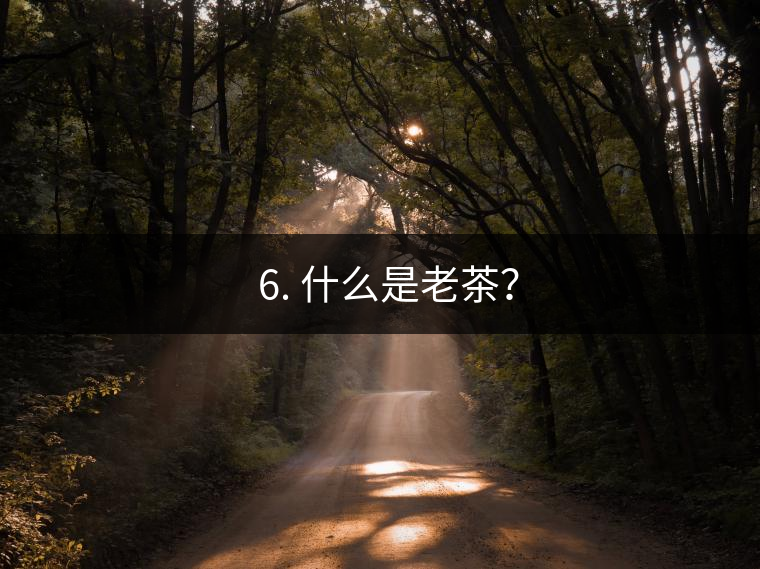 ? 6. 什么是老茶？