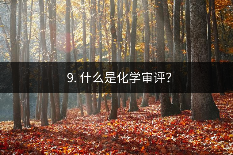 ? 9. 什么是化學(xué)審評(píng)？
