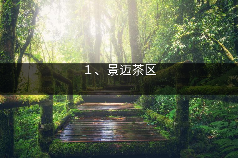 １、景邁茶區(qū)
?