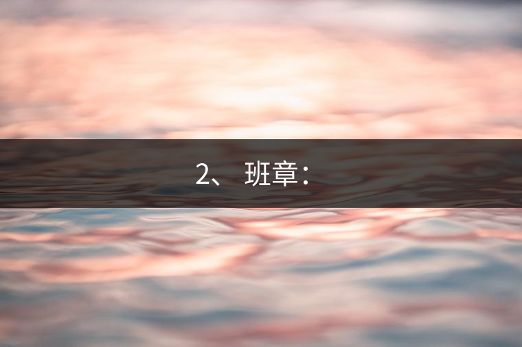 2、 班章：?