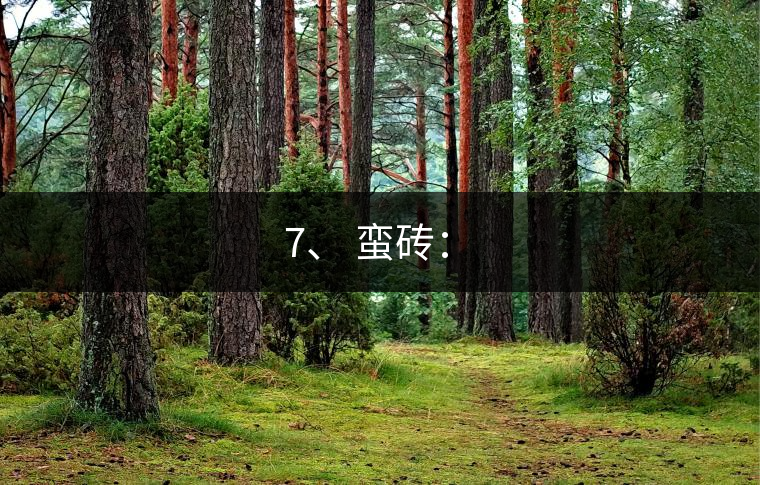 7、 蠻磚：?