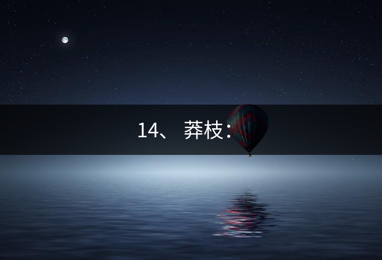 14、 莽枝：?