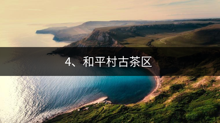 4、和平村古茶區(qū) ?