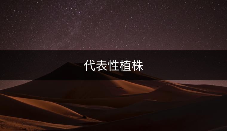 代表性植株