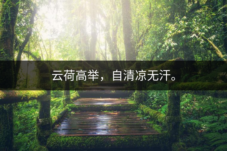 云荷高舉，自清涼無汗。