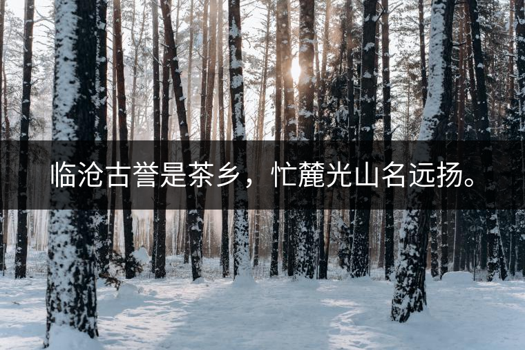 臨滄古譽(yù)是茶鄉(xiāng)，忙麓光山名遠(yuǎn)揚(yáng)。