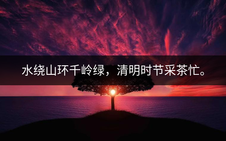 水繞山環(huán)千嶺綠，清明時(shí)節(jié)采茶忙。