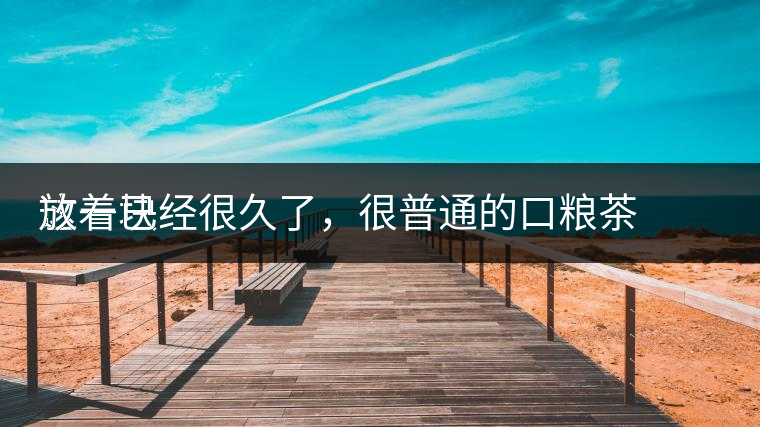 這一塊
放著已經(jīng)很久了，很普通的口糧茶，煙味很重，但回甘也可以，隨意喝喝吧。