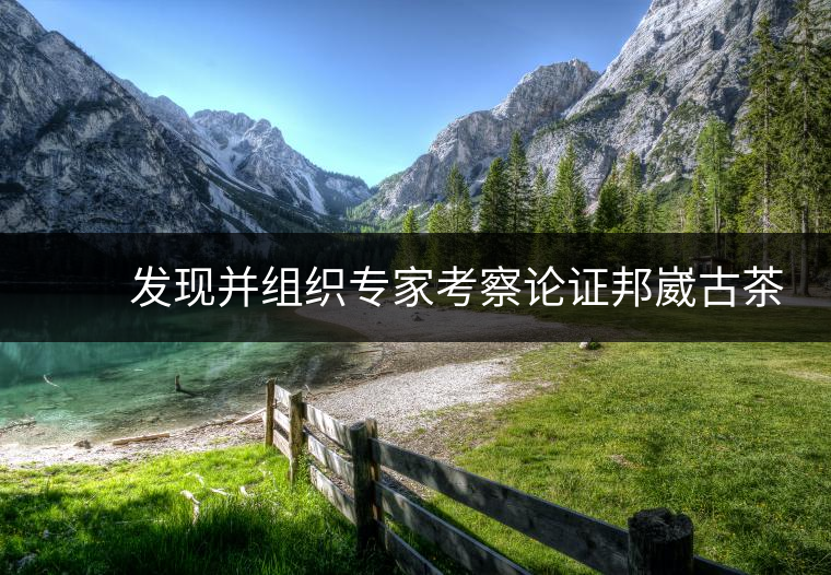 　　發(fā)現(xiàn)并組織專家考察論證邦崴古茶樹是世界上唯一的過渡型千年古茶樹，長期致力于保護瀾滄景邁古茶林，成為古茶樹保護的忠誠衛(wèi)士，被譽為”中國古茶第一人”。