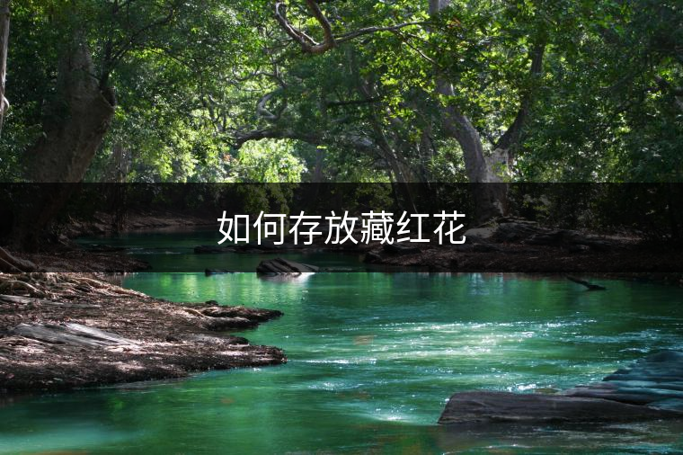 如何存放藏紅花 如何存放藏紅花