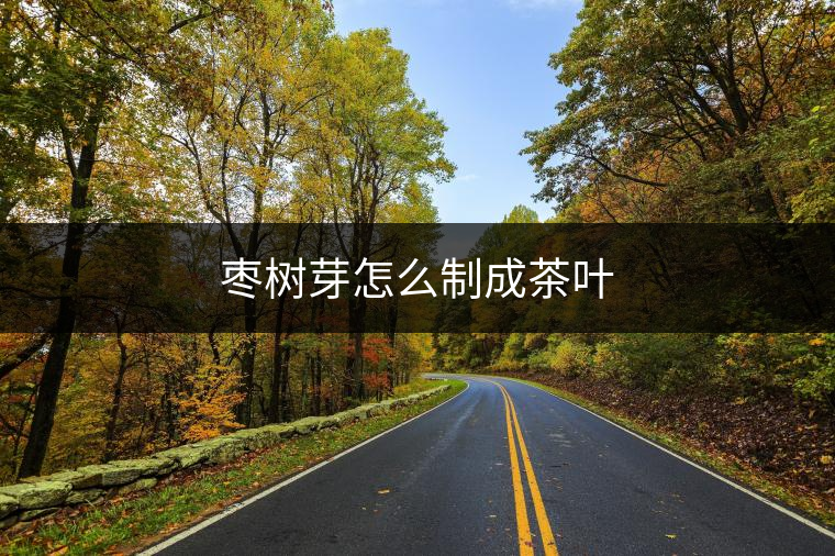 棗樹(shù)芽怎么制成茶葉