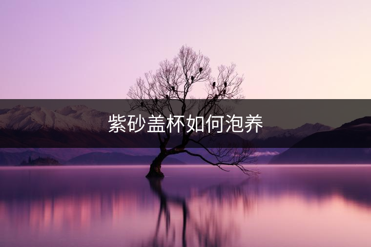 紫砂蓋杯如何泡養(yǎng) 紫砂蓋杯如何泡養(yǎng)