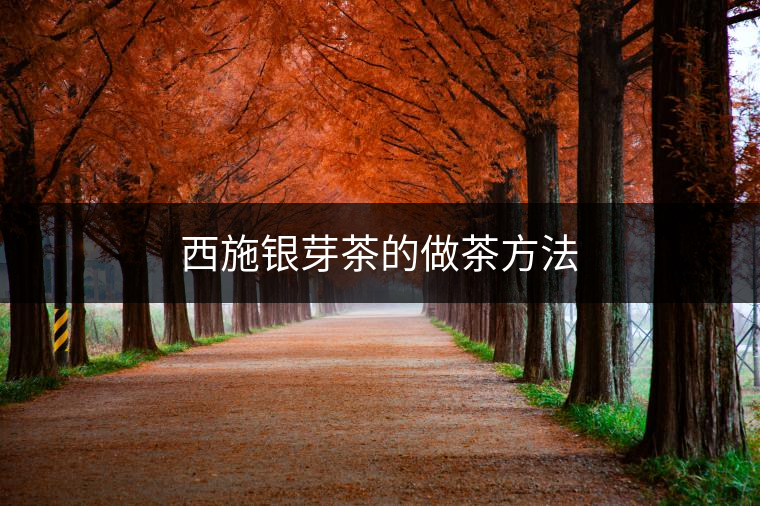 西施銀芽茶的做茶方法 西施銀芽茶的做茶方法