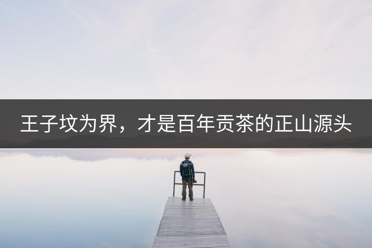 王子墳為界，才是百年貢茶的正山源頭