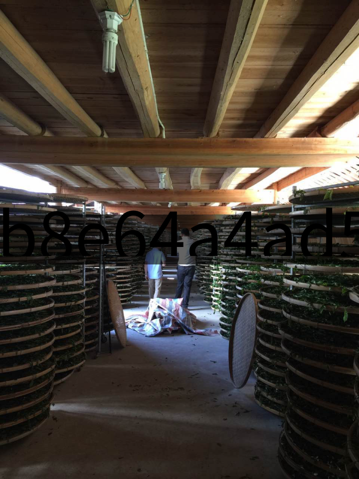 2b8e64a4ad5e4e0a857dc179913465e1