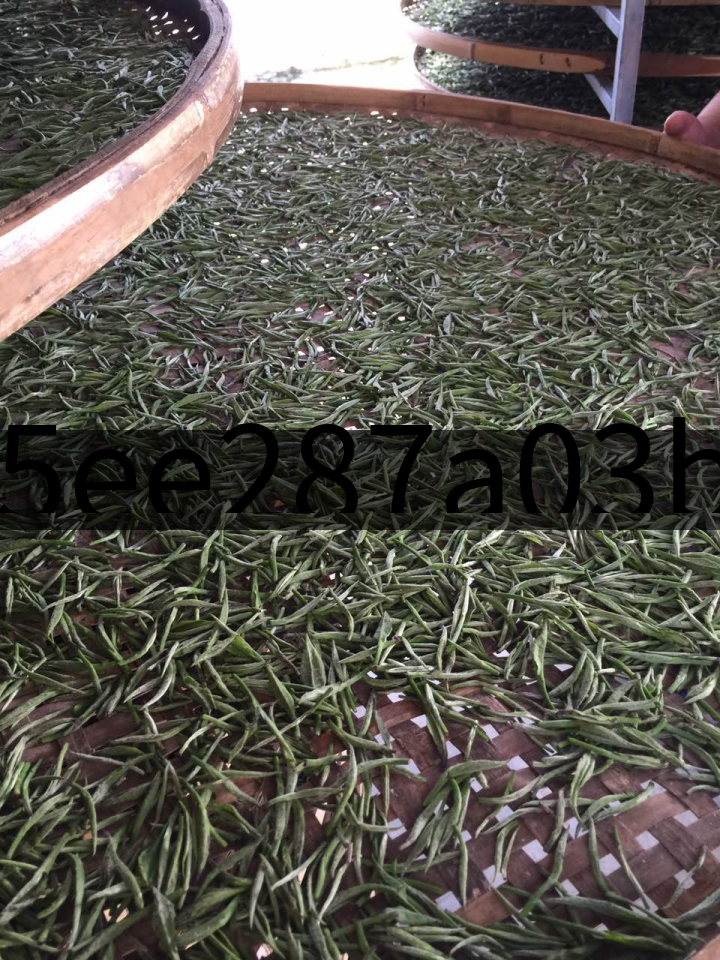 15ee287a03b04872bb9618d1a1f597c6 15ee287a03b04872bb9618d1a1f597c6