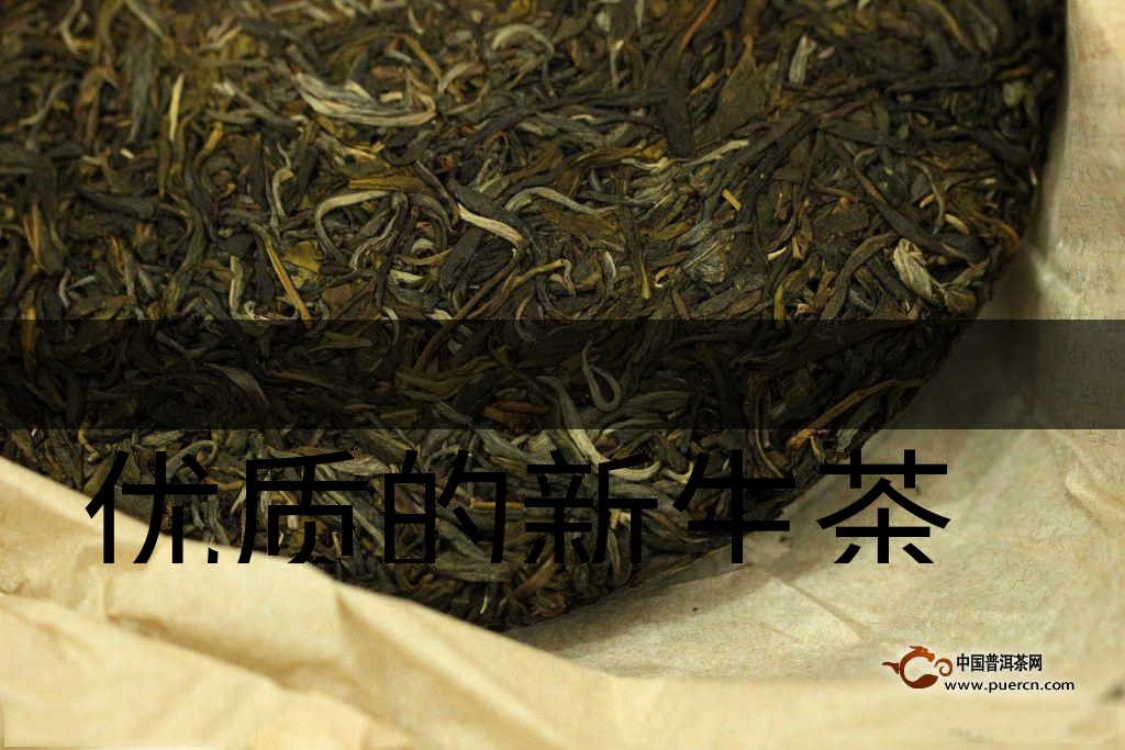 優(yōu)質(zhì)的新生茶是什么樣的？