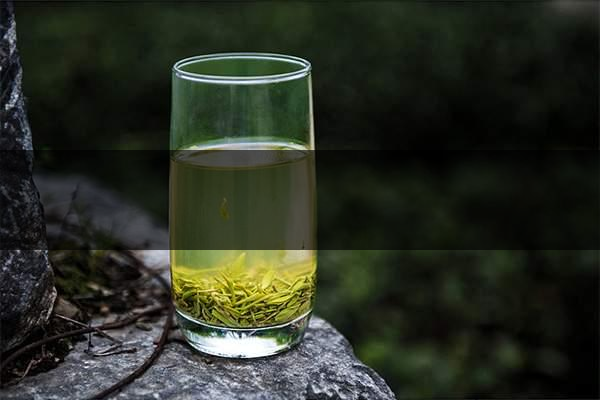 pick春茶攻略！