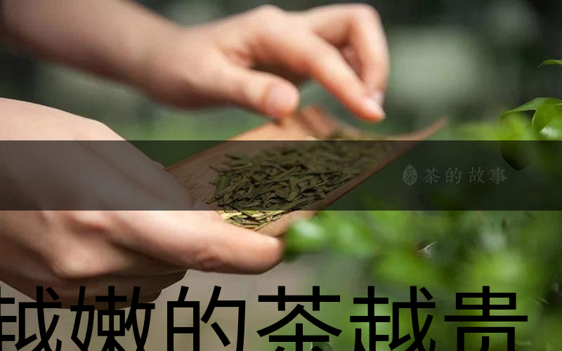 越嫩的茶越貴，但越貴的茶就越好嗎？