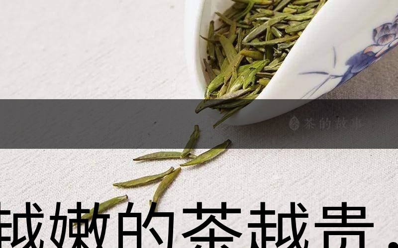 越嫩的茶越貴，但越貴的茶就越好嗎？-1